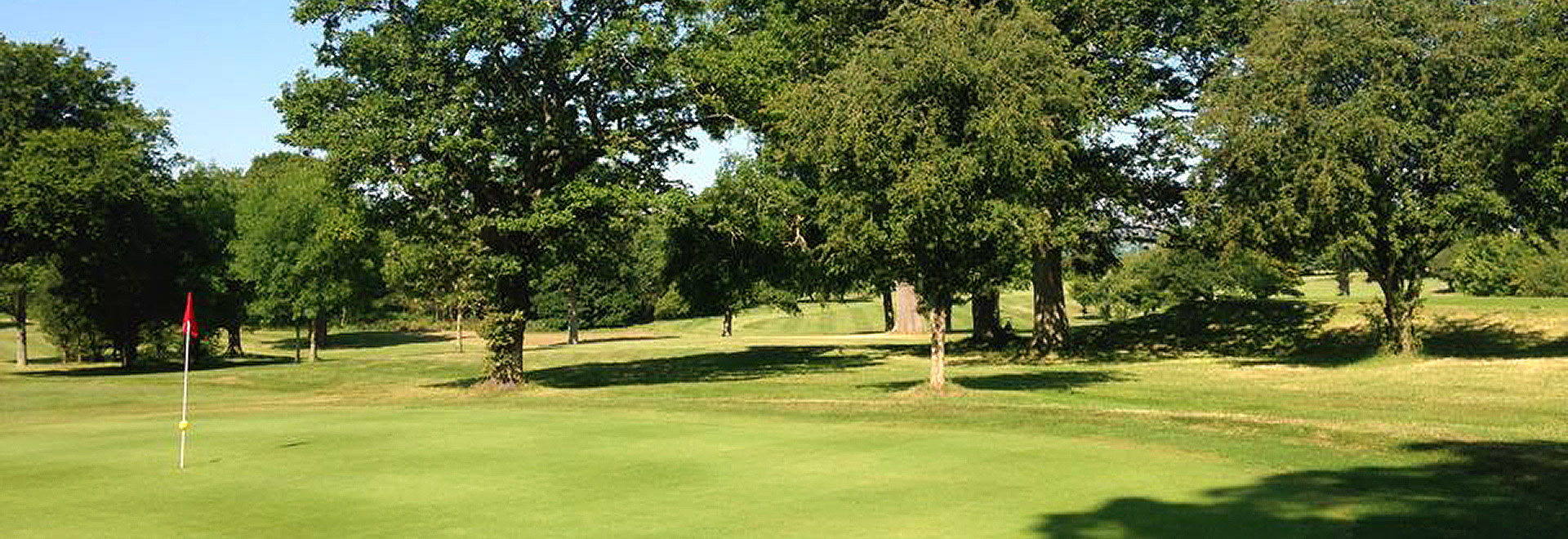 Golf Course Green